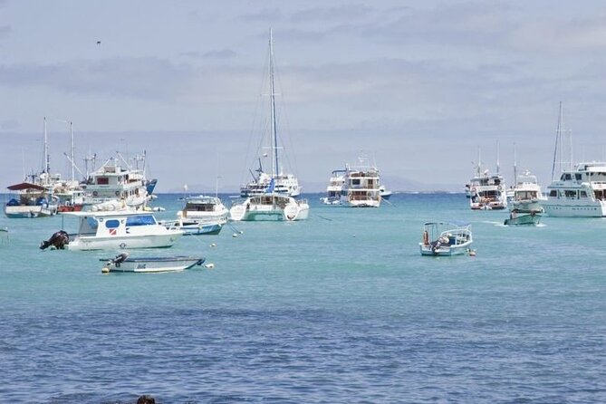 Transfer From San Cristobal Island to Santa Cruz Island - Luggage and Personal Items Policy