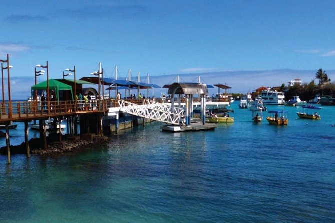 Transfer From Santa Cruz Island to Isabela Island - Key Points