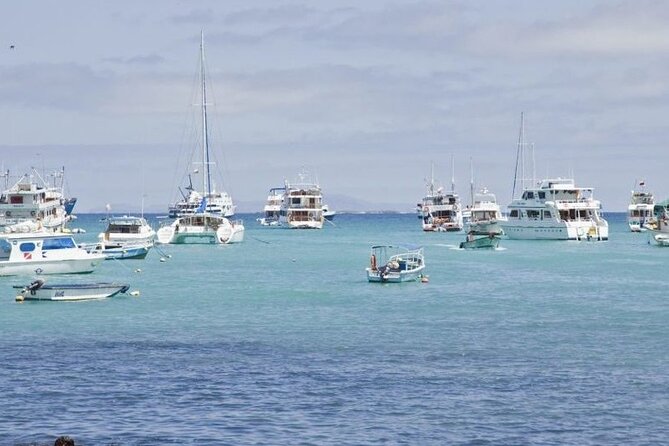 Transfer From Santa Cruz Island to San Cristobal Island - Contact and Emergency Information