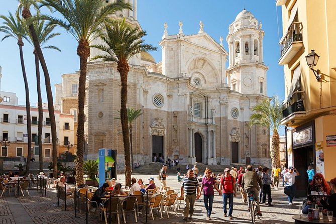 Transfer From Seville to Cadiz - Provider Information