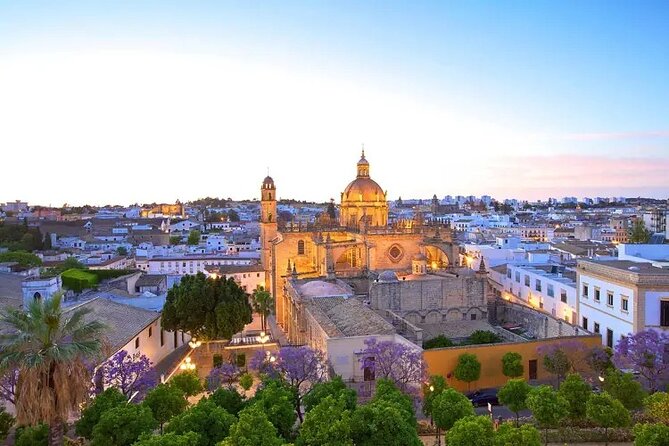 Transfer From Seville to Cadiz - Reviews and Ratings