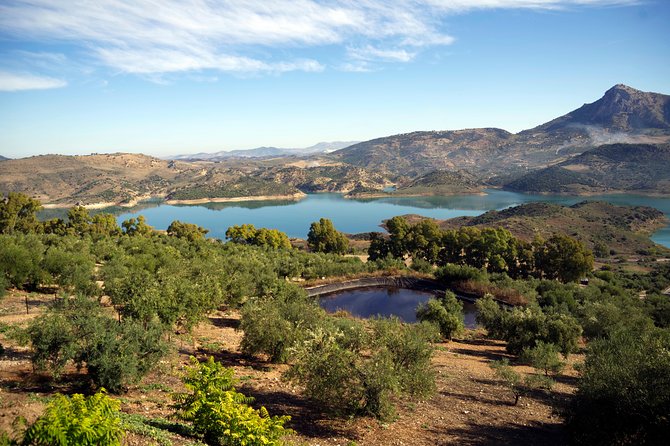 Transfer From Seville to Granada With a Stop in Ronda - Accessibility and Participation Details