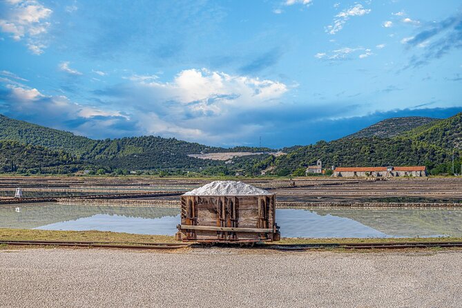Transfer From Split to Dubrovnik With 2 Hours Stop in Ston Town - Ston Town Visit Opportunity