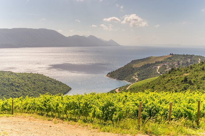 Transfer From Split to Dubrovnik With 2 Hours Stop in Ston Town - Viator Help Centre Support
