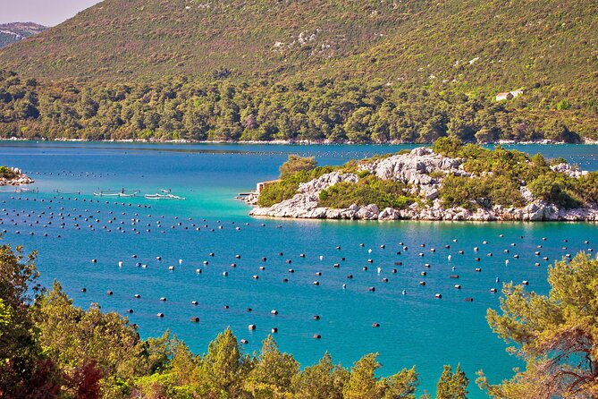 Transfer From Split to Dubrovnik With 2 Hours Stop in Ston Town - Customer Feedback and Ratings