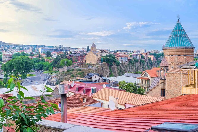 Transfer From Tbilisi Airport to Tbilisi - Accessibility and Participation
