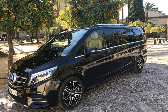 Transfer From the Airport to Madrid - Meeting Point