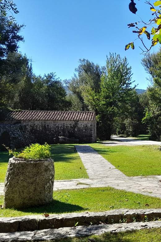 Transfer From the Airport to the Dubrovnik - Driver and Vehicle Details