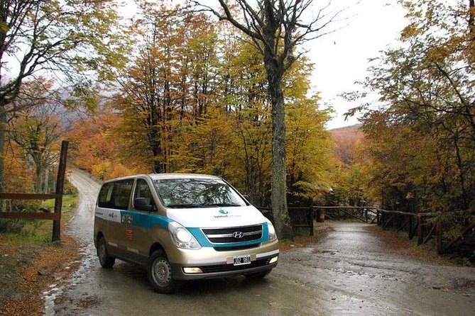 Transfer From the Airport to the Hotel in Shared Service - Operating Hours and Availability
