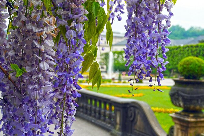 Transfer From Vienna to Salzburg: Private Daytrip With 2 Hours for Sightseeing - Itinerary and Customization Options