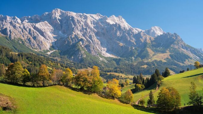 Transfer From Vienna to Salzburg With 2 Hours of Sightseeing - Contact Information