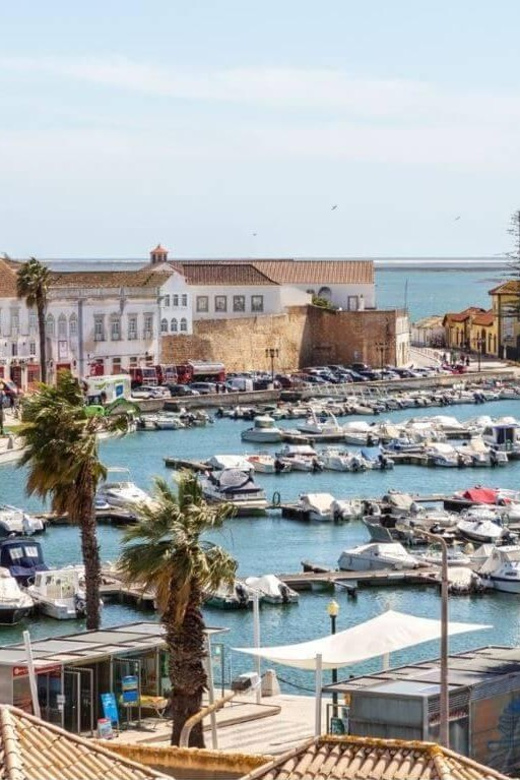Transfer From Vilamoura to Benagil - Service Features