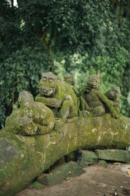 Transfer I Gusti Ngurah Rai Airport to Ubud Bali - Pricing and Transparency