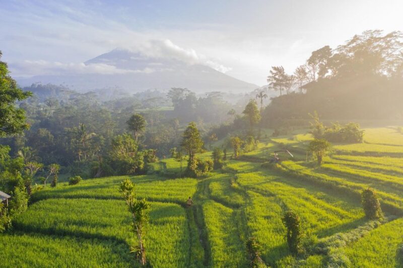 Transfer I Gusti Ngurah Rai Airport to Uluwatu Bali - Frequently Asked Questions