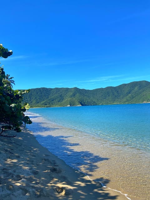 Transfer in Playa Cinto & Playa Cristal - Inclusions and Exclusions