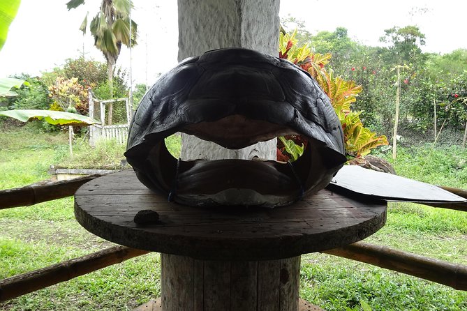 Transfer in + Visit to the Giant Turtle Nature Reserve - Visit to Rancho Primicias