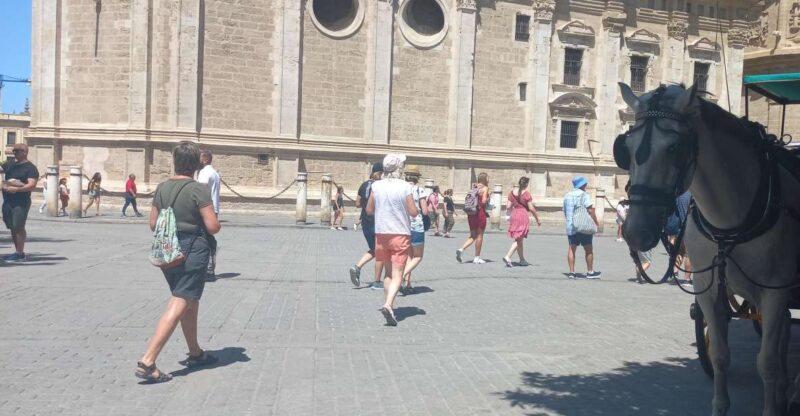 Transfer Lisbon / Seville - Booking Options