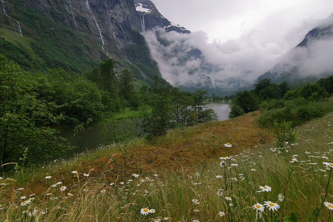 TRANSFER, LUXURY CAR 1-3 PAX: Bergen – Flåm, Gudvangen - Transfer Overview