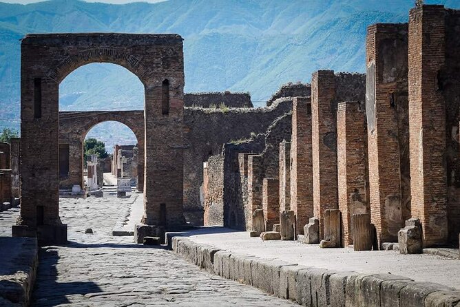 Transfer Naples Airport/Station to Sorrento With Stop in Pompeii - Private Transportation and Inclusions