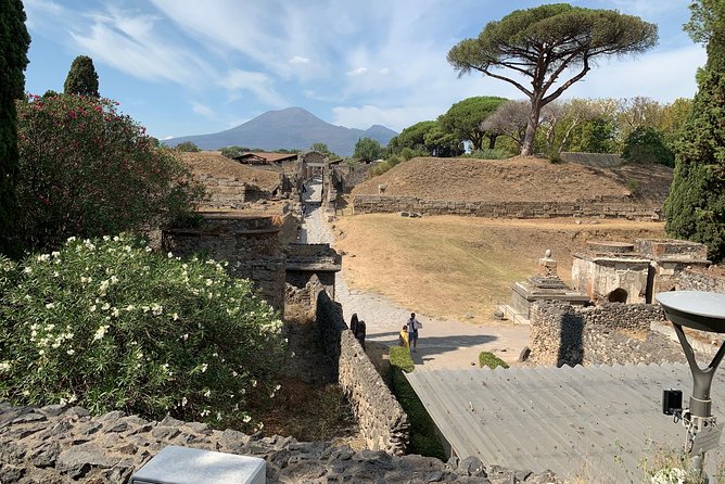 Transfer Naples to Sorrento and Stop in Pompeii - Customer Support and Inquiries