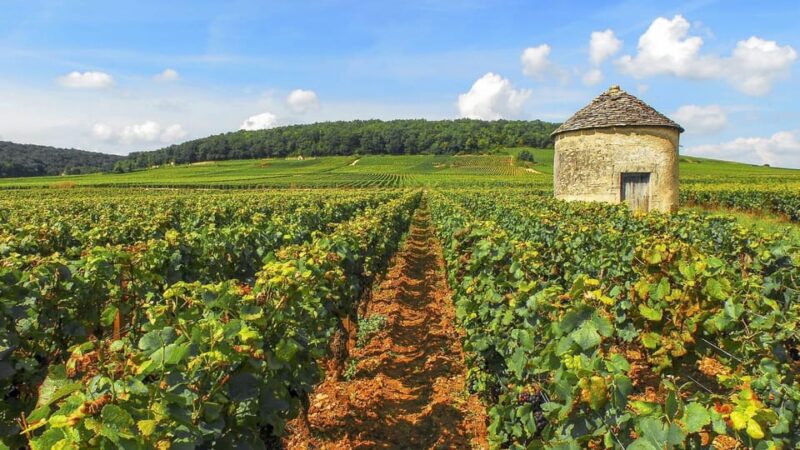 Transfer Paris : From Charles De Gaules Airport to Beaune - Culinary Delights of Burgundy