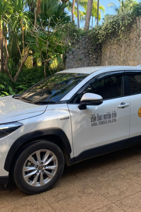 Transfer Phuket - Krabi, Aonang - Cleanliness and Professionalism