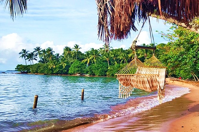 Transfer Salvador to Barra Grande Round Trip - Key Points