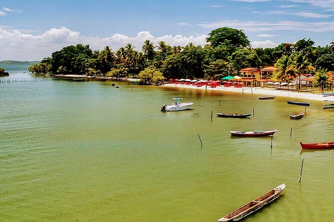 Transfer Salvador to Barra Grande Round Trip - Comfortable Private Transportation