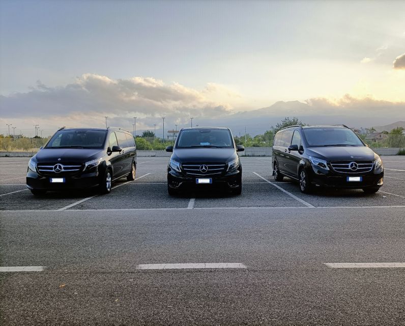 Transfer Service From Taormina to Siracusa (Or Viceversa) - Company Background