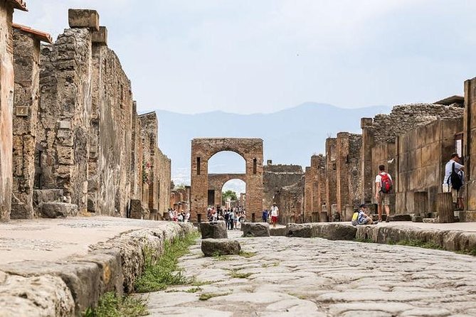 Transfer Sorrento Coast With Stop and Wait 2 Hours Pompeii or Herculaneum or Vesuvius - Discovering Mount Vesuvius
