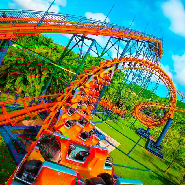 Transfer to Beto Carrero World - Key Points