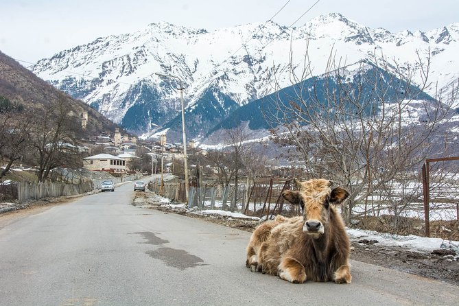 Transfer to Mestia Svaneti - Scenic Views and Highlights