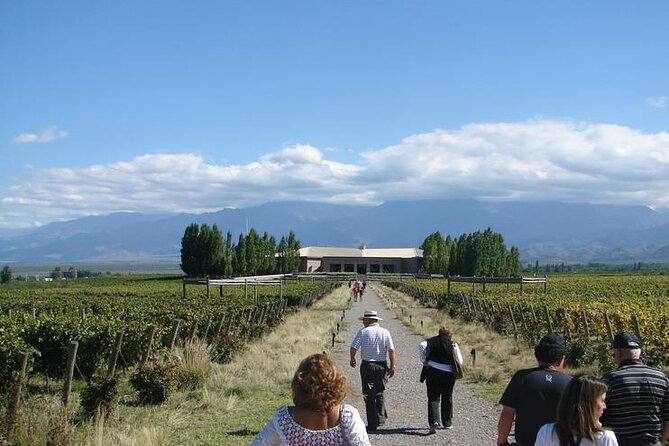 Transfer to Salentein Uco Valley With Lunch and Visit - Tasting Argentinas Wine Traditions