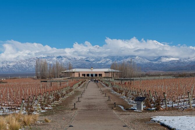 Transfer to Salentein Uco Valley With Lunch and Visit - Pricing and Booking Information
