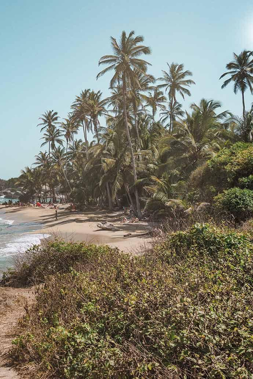 Transfer to TAYRONA Park From Cartagena Private - Key Points