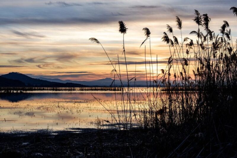Transfer to Trasimeno Lake - Key Points