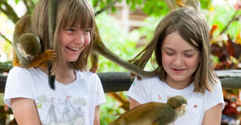 Transfers and Taxis Monkey Land in Puerto Plata - Pricing and Reservations