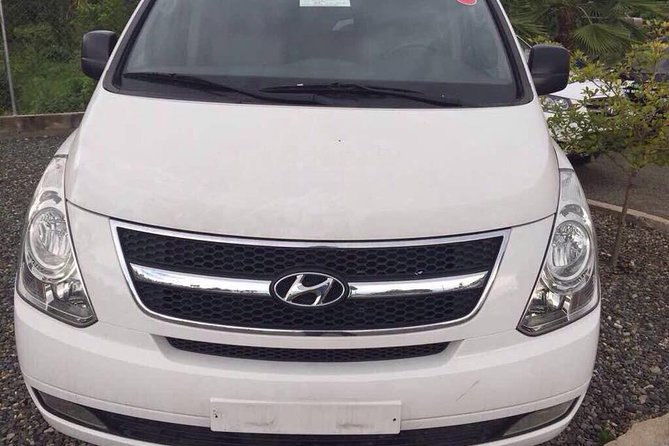 Transfers From Santo Domingo Airport to Cabarete, Sosua - Accessibility Features
