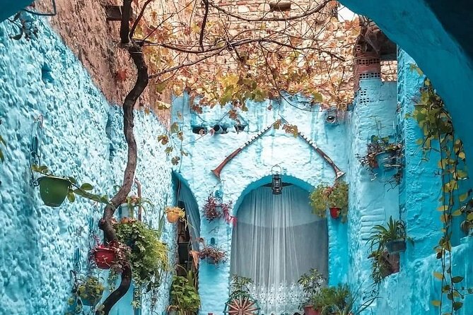 Transfers From Tangier to Chefchaouen Blue City - Additional Information