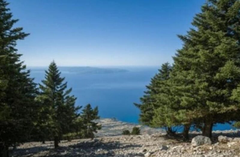 TRANSFERS, TOURS & RENTALS IN KEFALONIA - Cultural and Culinary Experiences