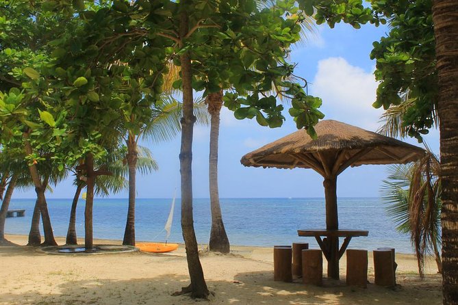 Transfers, Zip Line and Monkey Park - Key Points