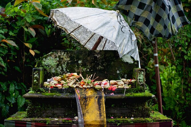 Transformative Journey of Holistic Self-Discovery - Personalized Private Tour