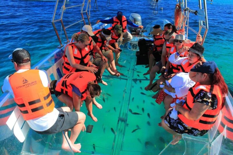 Transparent Boat Tour to The Arch - Los Cabos - Experience Highlights