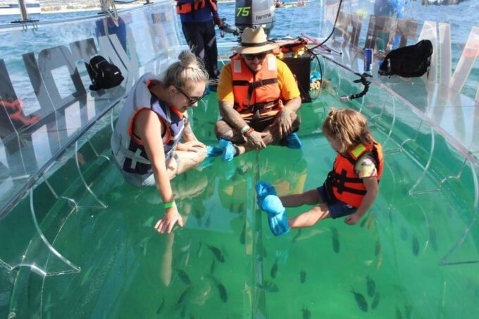 Transparent Boat Tour to The Arch - Los Cabos - Frequently Asked Questions