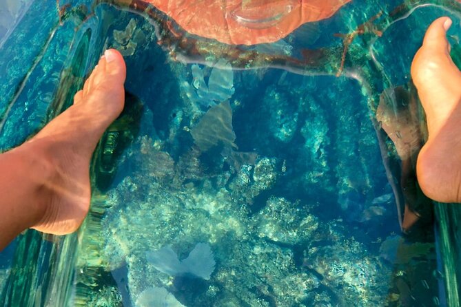 Transparent Kayaking With Drone Photo Shoot Sosua Bay - What to Expect