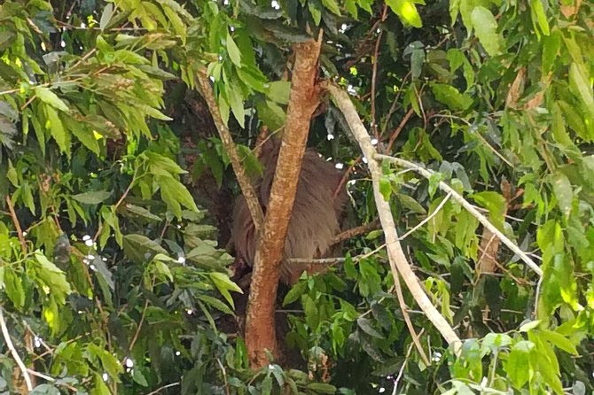 Transport From Alajuela Airport to La Fortuna - Key Points