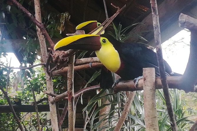 Transport From San Jose to La Fortuna - Key Points