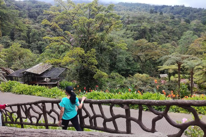 Transport From San Jose to La Fortuna - Highlights of the Experience