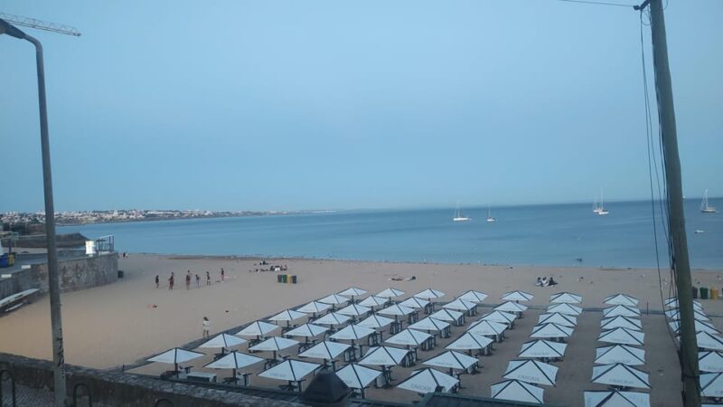 Transport in or Outside Lisbon - Booking and Reservations