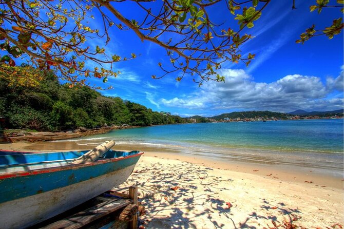 Transport to Bombinhas - From Balneário Camboriú by Centrotur - Diverse Marine Life and Landscapes